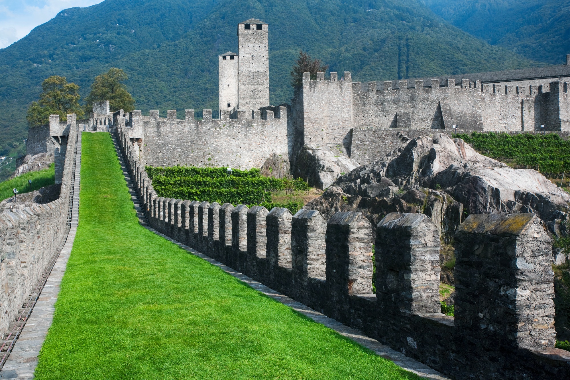 Associazioni in Ticino, Svizzera: Un Mondo di Solidarietà e Partecipazione